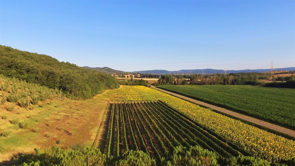 Agriturismo Podere Mulinaccio Ribolla المظهر الخارجي الصورة