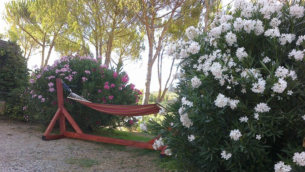 Agriturismo Podere Mulinaccio Ribolla المظهر الخارجي الصورة
